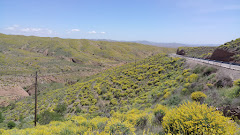 Bar Wuassi