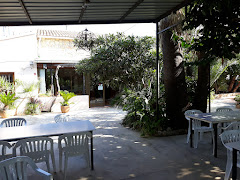 Restaurante Punta Benimaquia