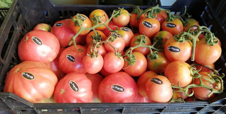 La Tosquilla- Fruta, Verdura y conservas de estacion- Nules